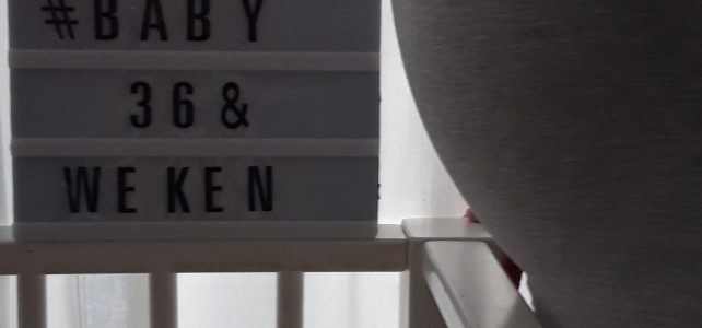 Zwangerschapsupdate #36weken Zwangerschapsupdate #36weken