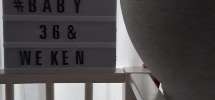 Zwangerschapsupdate #36weken Zwangerschapsupdate #36weken